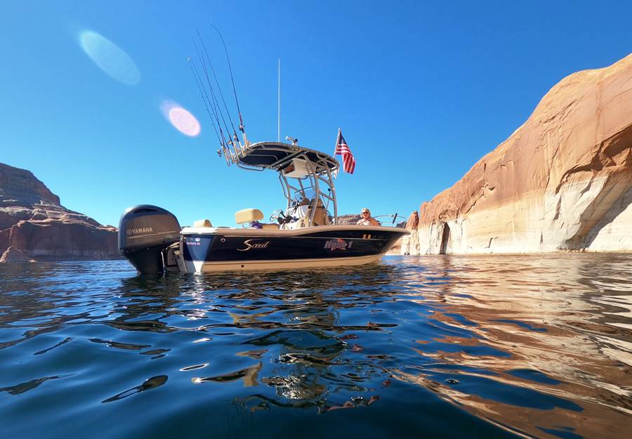 2020 Scout 195 Sport Fisher with a SG900 boat t-top, photo 2 of 8
